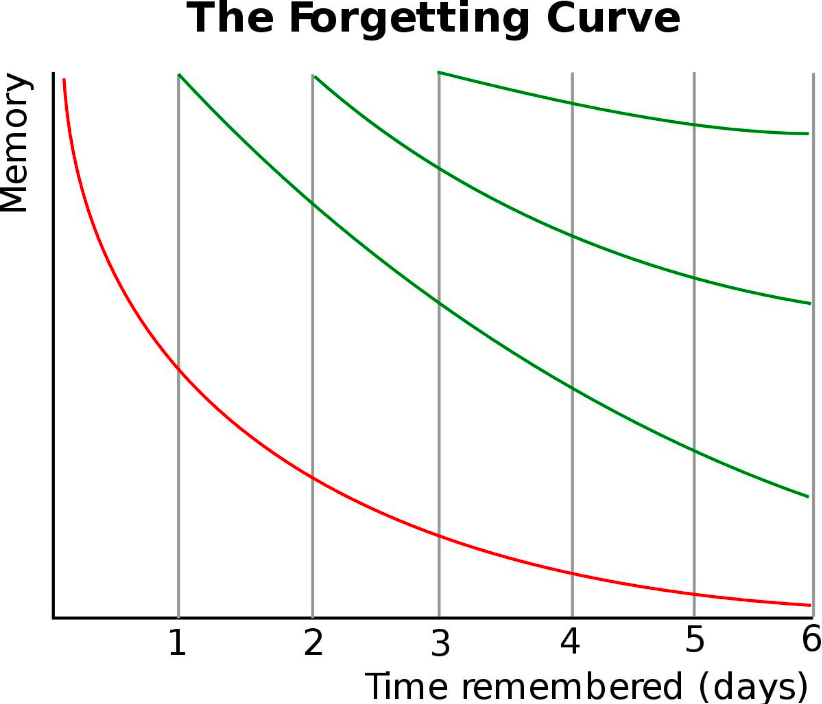 Кривая забывая по Эббингаузу график