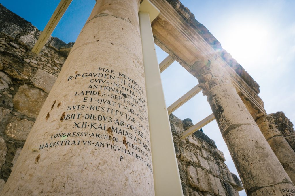 Греческие и латинские корни | глава 17